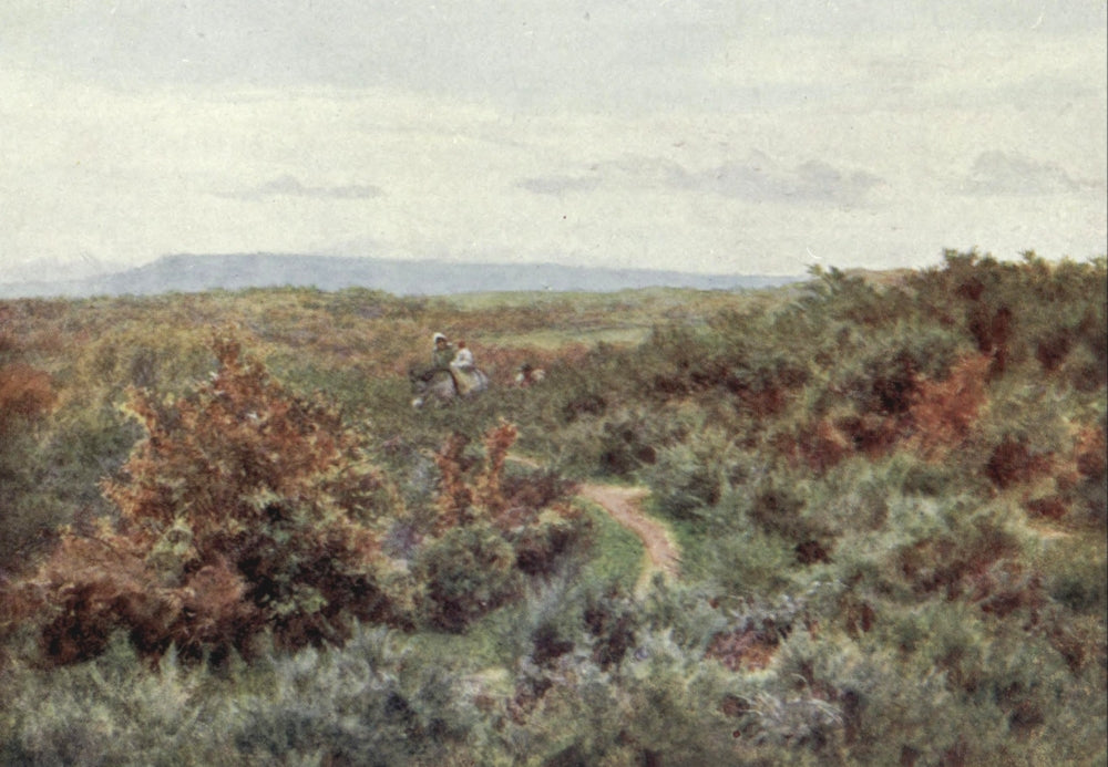 Happy England 1904 Blackdown from Witley Common Poster Print by Helen Allingham.