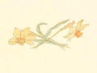Little Ann & Other Poems Daffodils Poster Print by Kate Greenaway, colorful children’s art.