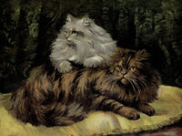 The Book of the Cat 1903 Persian Cats Poster Print