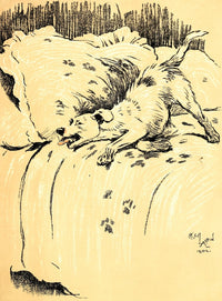 A Dog Day 1902 Mucky Pup Poster Print by Cecil Aldin