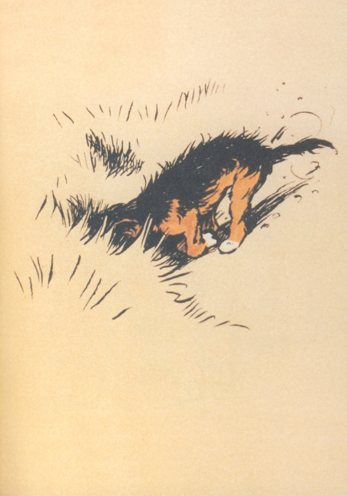The Mongrel Puppy Book 1912 Looking for Rabbits Poster Print by Cecil Aldin.