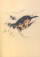 The Mongrel Puppy Book 1912 Looking for Rabbits Poster Print by Cecil Aldin.