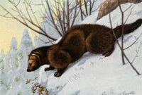 Burgess Animal Book for Children 1920 Poster Print by L.A. Fuertes