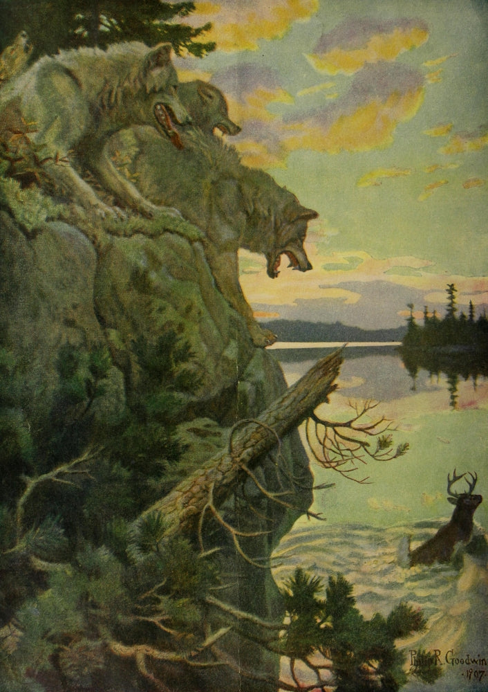 Collier's 1908 The Lost Quarry Poster Print by Philip R. Goodwin