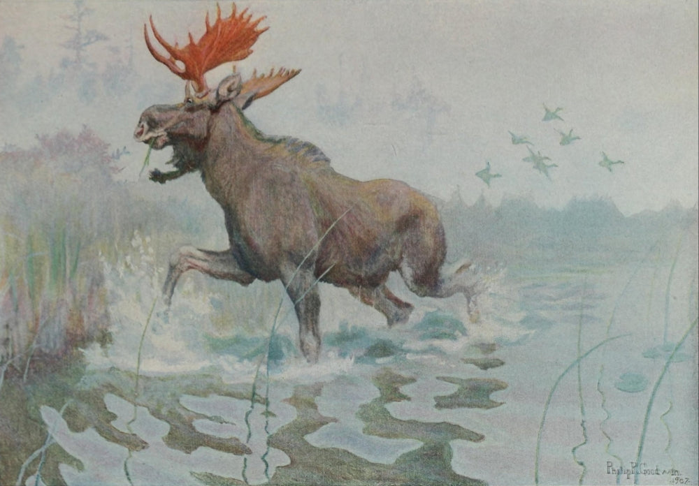 Scribner's Magazine 42 An Alarm Poster Print by Philip R. Goodwin