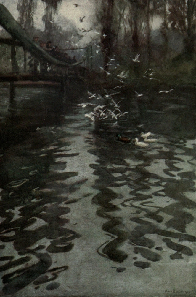 Familiar London 1904 Bridge in St. James's Park Poster Print by Rose Barton