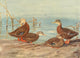 Nat History of Ducks 1925 Poster Print by A. Brooks depicting Florida and Mexican ducks.