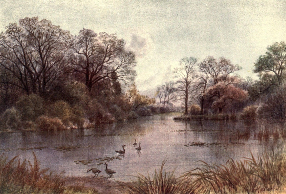 Kew Gardens 1908 Lake Poster Print by T. Mower Martin