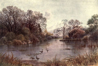 Kew Gardens 1908 Lake Poster Print by T. Mower Martin