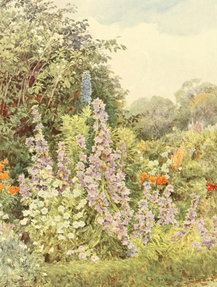 Some English Gardens 1904 Purple Campanula Poster Print by George S. Elgood
