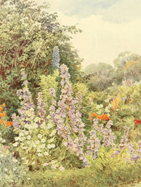 Some English Gardens 1904 Purple Campanula Poster Print by George S. Elgood