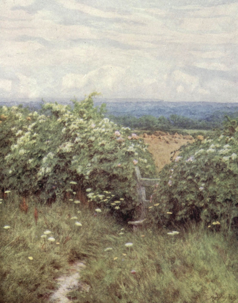 Happy England 1904 On Pilgrim's Way Poster Print by Helen Allingham