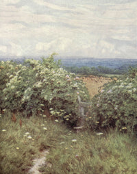 Happy England 1904 On Pilgrim's Way Poster Print by Helen Allingham