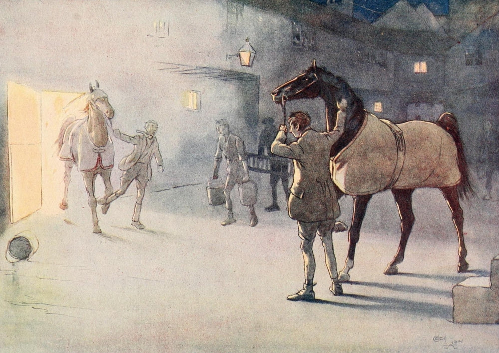 Black Beauty 1916 He Led Ginger Poster Print by Cecil Aldin