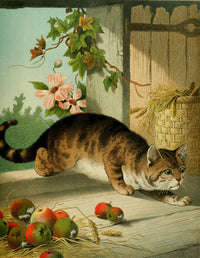 Four-footed Favourites Our Tom Poster Print by Hector Giacomelli in vintage style.