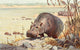 Tierleben 1920 Hippo Poster Print by F.W. Kuhnert