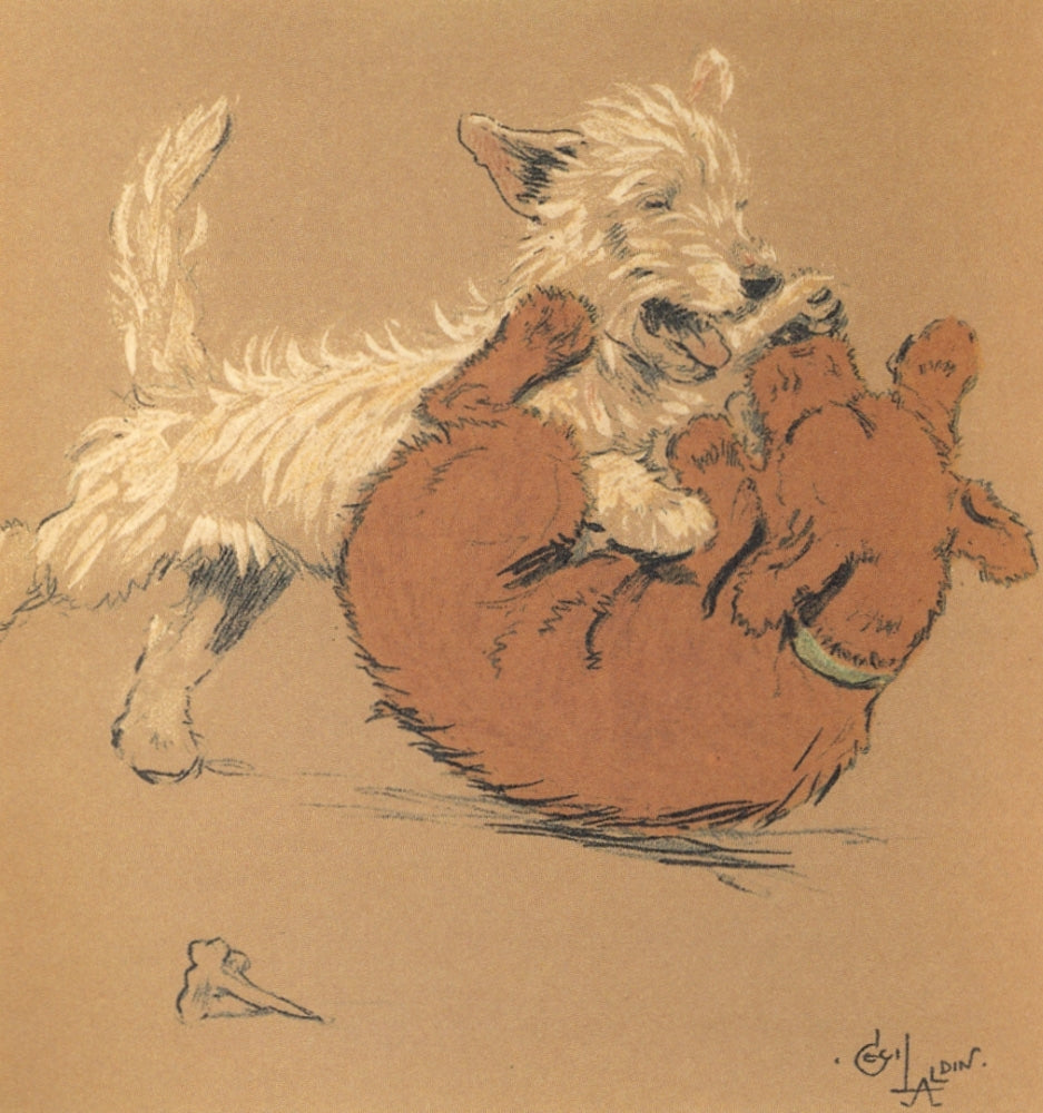 Mac 1912 Dog-fight Poster Print by Cecil Aldin depicting early 20th-century aviation.