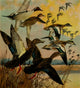 Important American Game-birds 1917 Pintail Poster Print by L. Bogue Hunt