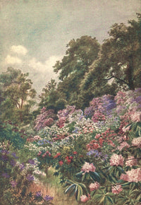 Kew Gardens 1908 The Rhododendron Dell Poster Print by Thomas Mower Martin