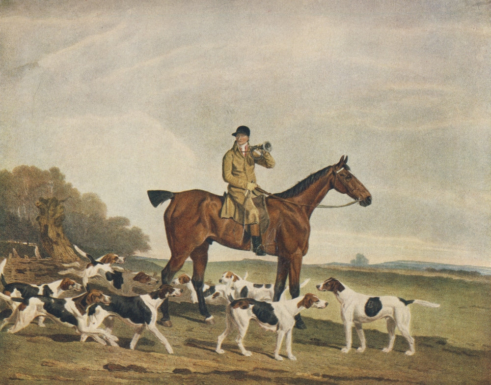 1927 Thomas Oldmaker on Brush Sporting Poster Print by R.B. Davis