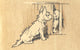 Peering in the Rabbit Hutch Poster Print by Cecil Aldin, whimsical artwork for children's rooms.