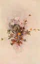 Our Early Wild Flowers 1916 Potentilla Poster Print by Eloise P. Luquer