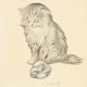 The Kitten's Garden of Verses poster print by Oliver Herford featuring playful kittens in a garden.