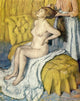 The Morning Toilet Art Print by Edgar Degas, showcasing a woman in a serene setting.