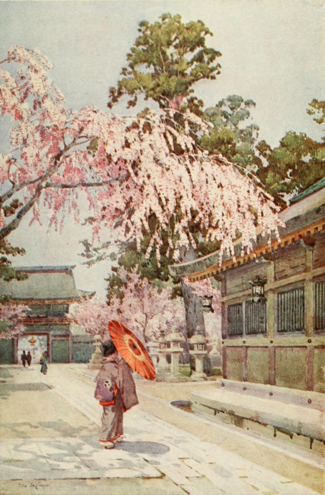 The Drooping Cherry Flowers & Gardens of Japan Poster Print by Ella Du Cane