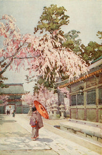 The Drooping Cherry Flowers & Gardens of Japan Poster Print by Ella Du Cane