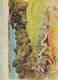 The Uganda Protectorate 1902 Poster Print showcasing the Sese Islands by Sir Harry Johnston