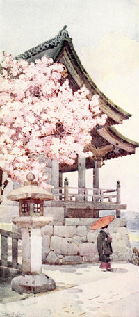 Cherry Tree at Kyomidzu Flowers & Gardens of Japan Poster Print by Ella Du Cane