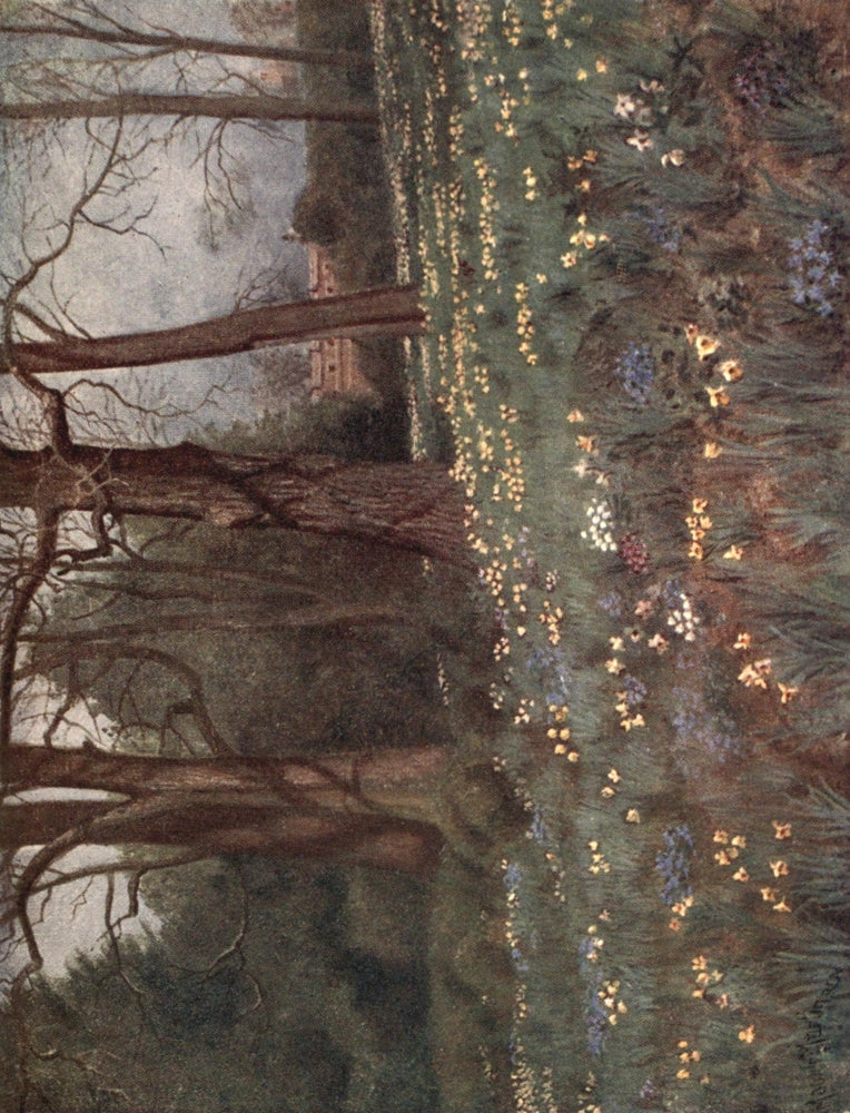 Kew Gardens 1908 The Wild Garden in Spring Poster Print by Thomas Mower Martin