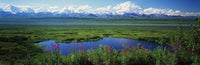 http://c328301.r1.cf1.rackcdn.com/PPI109858L.jpg