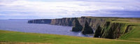 http://c328301.r1.cf1.rackcdn.com/PPI109970S.jpg