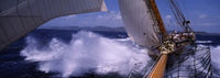 http://c328301.r1.cf1.rackcdn.com/PPI111575L.jpg