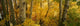 http://c328301.r1.cf1.rackcdn.com/PPI113468S.jpg