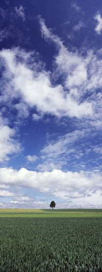 http://c328301.r1.cf1.rackcdn.com/PPI120544L.jpg