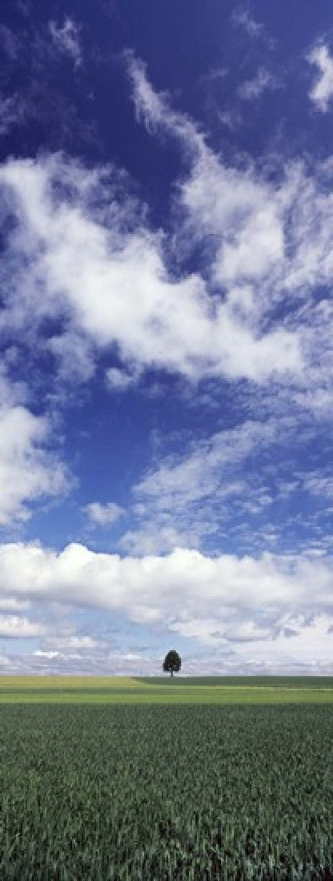 http://c328301.r1.cf1.rackcdn.com/PPI120544S.jpg