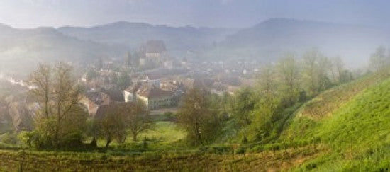 http://c328301.r1.cf1.rackcdn.com/PPI122851L.jpg
