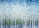 http://c328301.r1.cf1.rackcdn.com/PPI124359.jpg