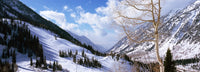 http://c328301.r1.cf1.rackcdn.com/PPI127556S.jpg