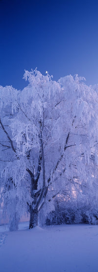 http://c328301.r1.cf1.rackcdn.com/PPI128172L.jpg