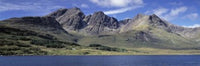 http://c328301.r1.cf1.rackcdn.com/PPI132138S.jpg