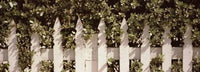 http://c328301.r1.cf1.rackcdn.com/PPI133613S.jpg