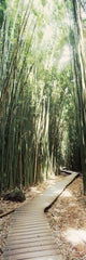 http://c328301.r1.cf1.rackcdn.com/PPI134432S.jpg