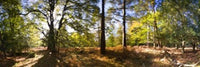http://c328301.r1.cf1.rackcdn.com/PPI136554S.jpg