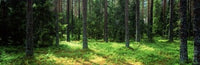 http://c328301.r1.cf1.rackcdn.com/PPI137177S.jpg