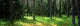 http://c328301.r1.cf1.rackcdn.com/PPI137177S.jpg
