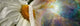http://c328301.r1.cf1.rackcdn.com/PPI137767S.jpg